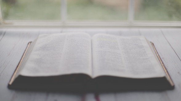 Screen Shot 2021-05-30 at 9.22.28 PM