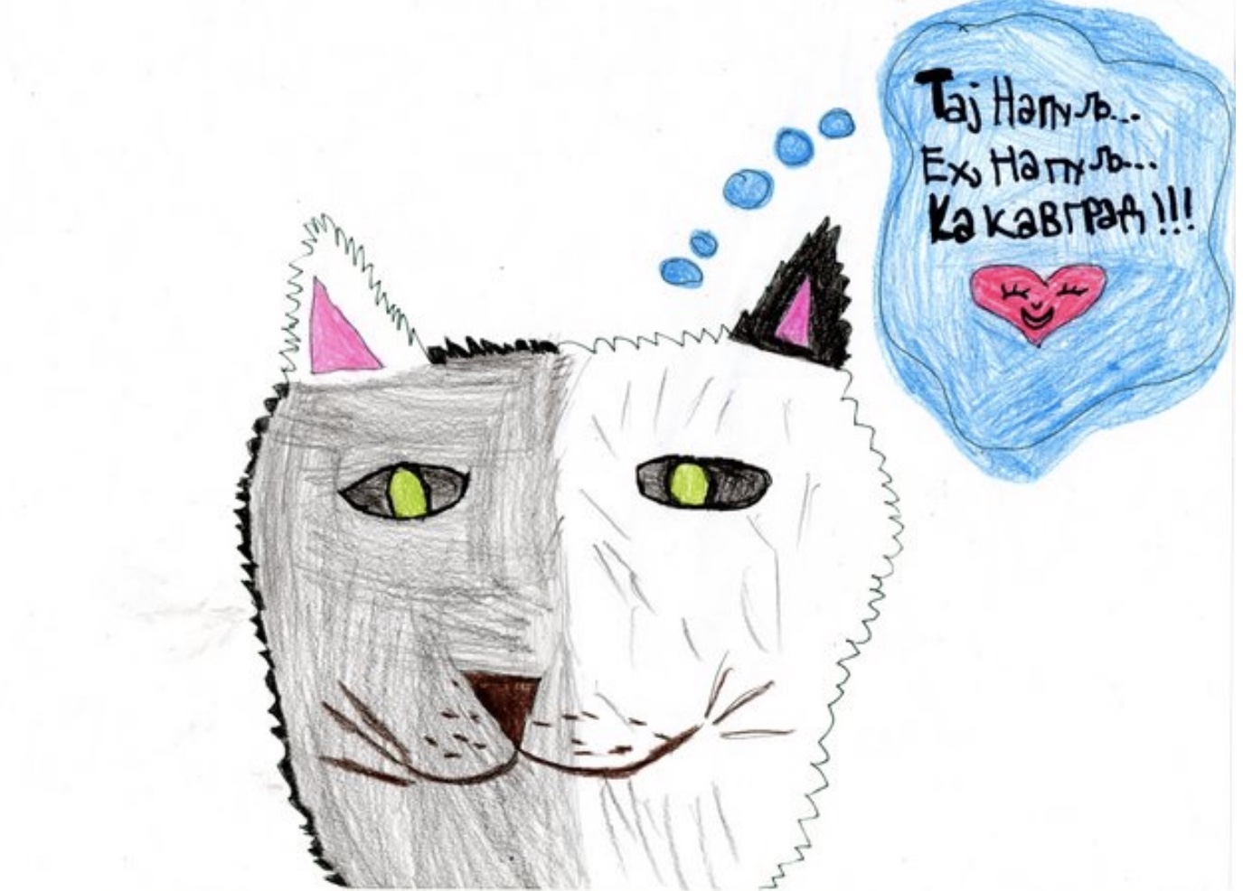 Screen Shot 2025-05-28 at 9.57.13 AM